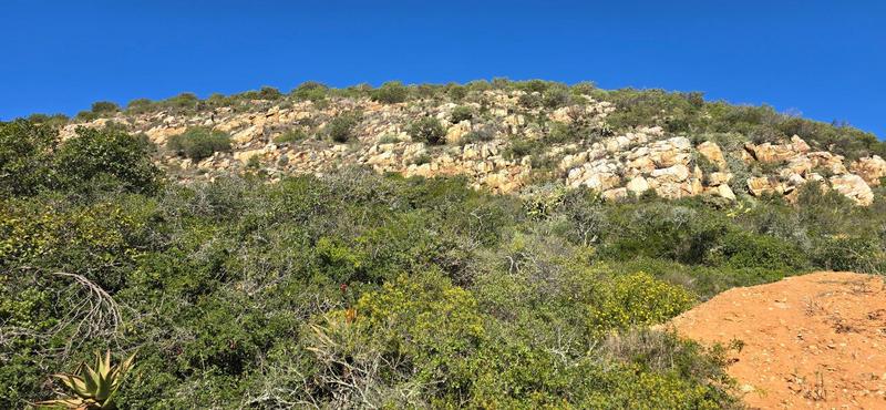 0 Bedroom Property for Sale in Mossel Bay Western Cape